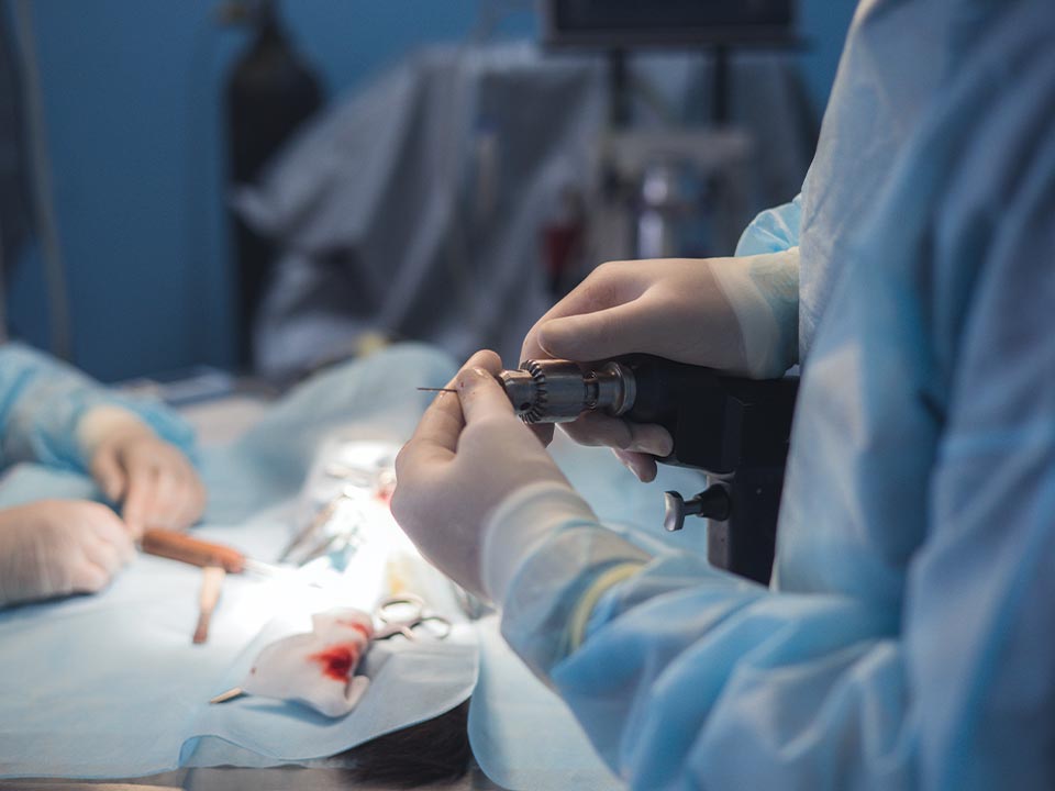 veterinarian in surgery preparing to use surgical drill